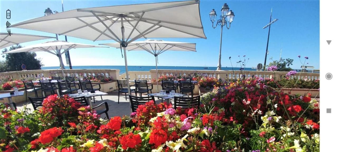 Kermit - Maison Proche Plages Les Sables-dʼOlonne Dış mekan fotoğraf