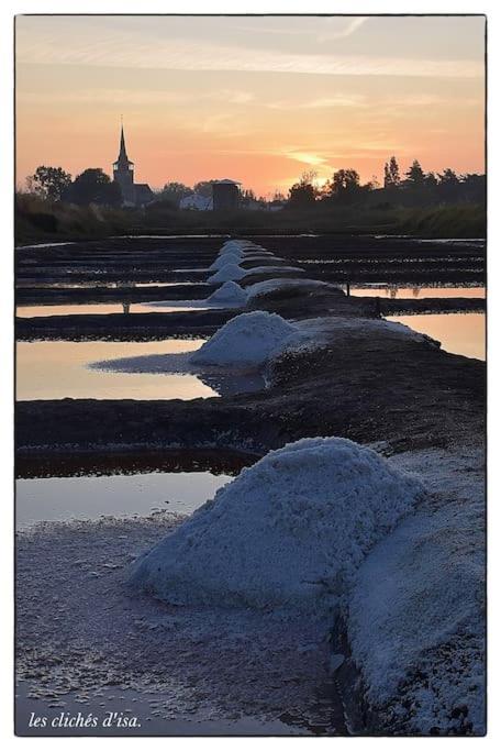 Kermit - Maison Proche Plages Les Sables-dʼOlonne Dış mekan fotoğraf
